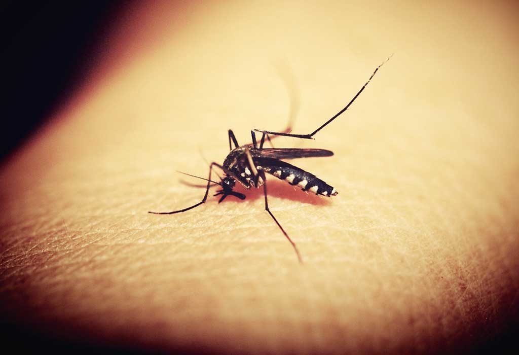 Harrow Health Care Centre, Zika Virus advice leaflet for travellers