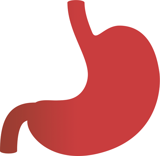 Digestive Health