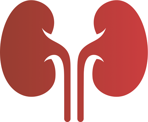 Kidney Health