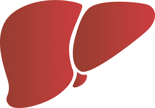 Liver Health